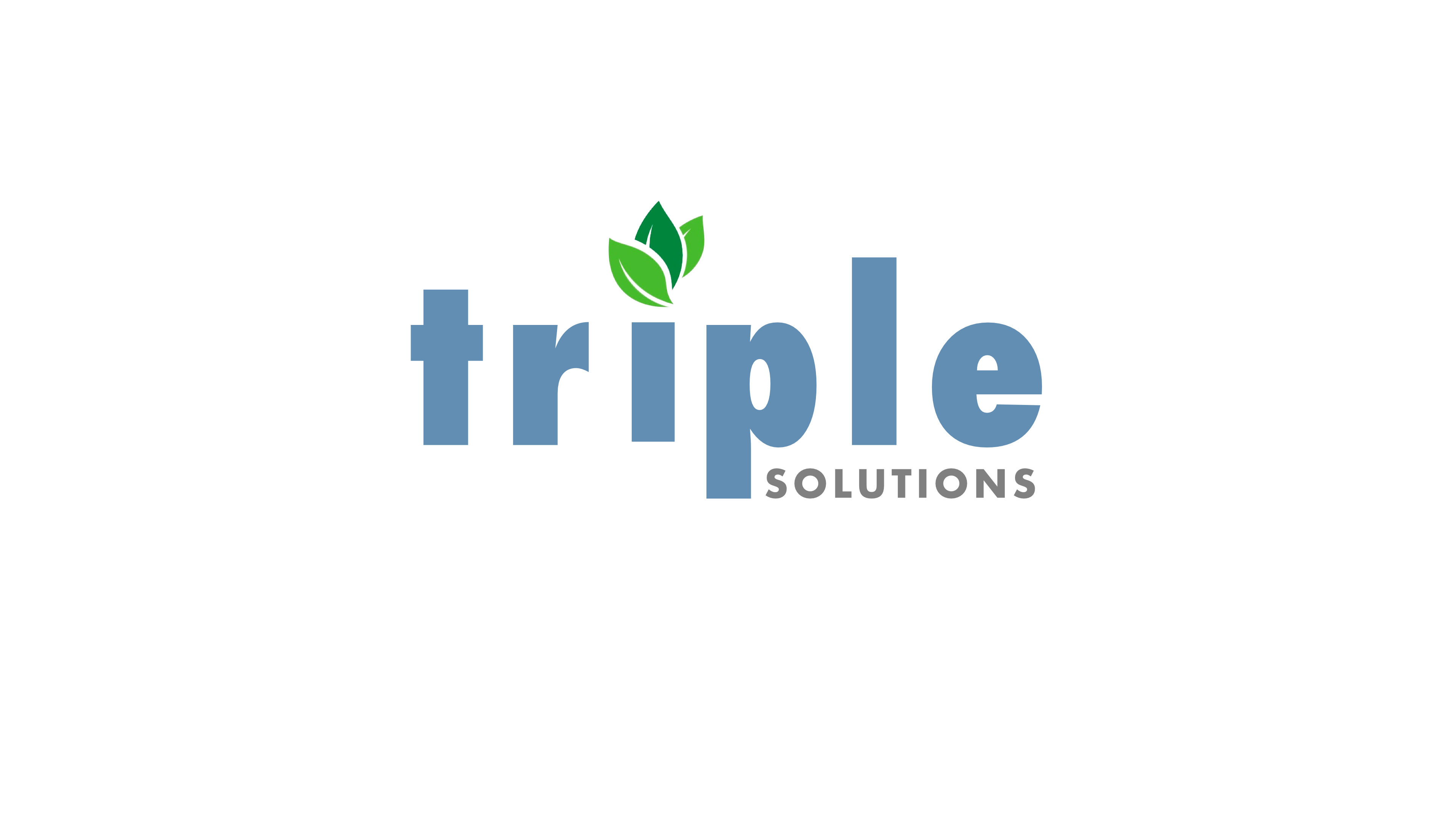 Triple Solutions — Innovation through Diversity